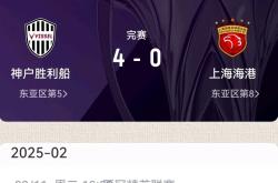 东南亚球队战绩出色，亚冠战场上势如破竹的简单介绍