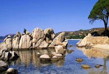  赛前速览：法网季后赛本菲卡对阵洛杉矶湖人，三大看点值得期待